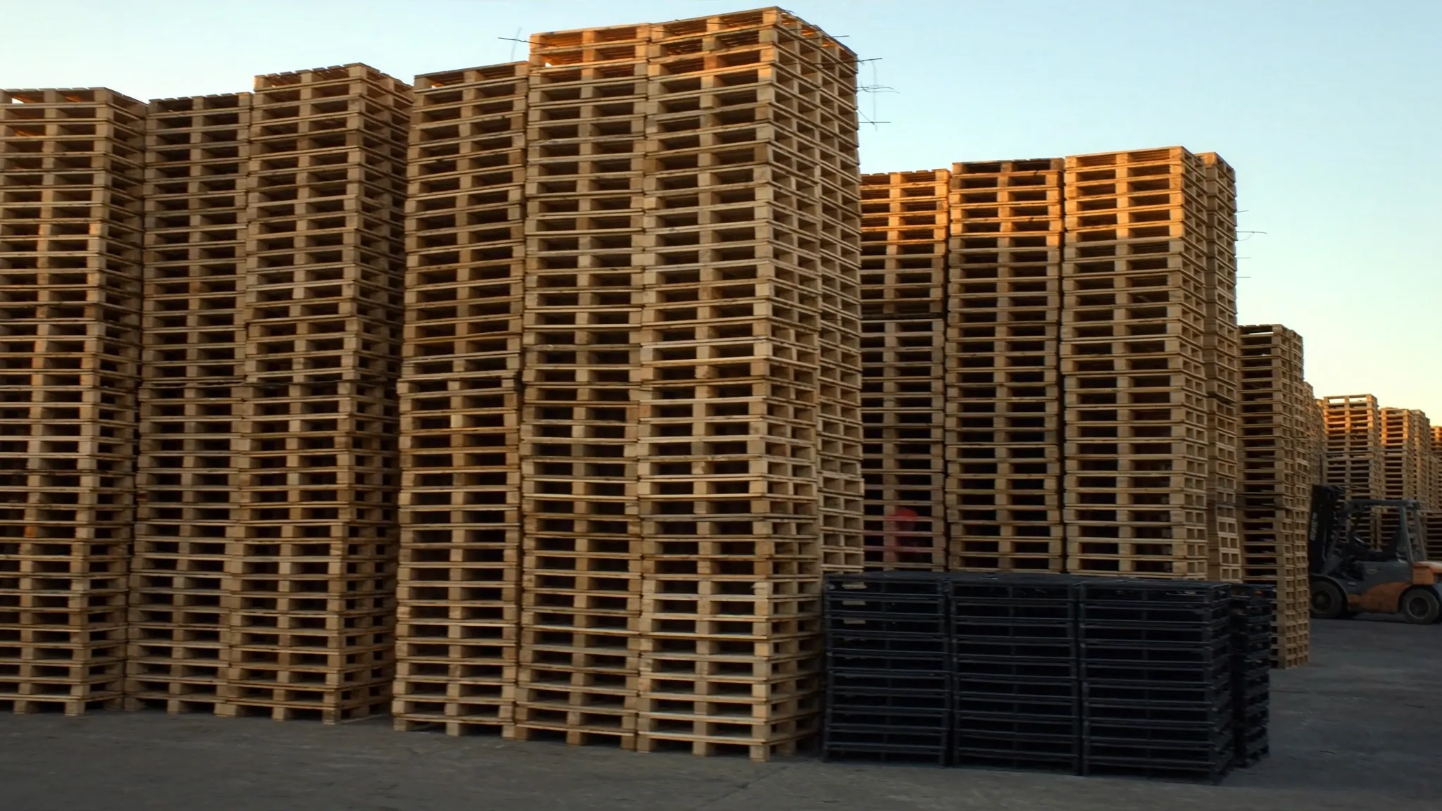 Tarima de madera vs plástico: ¿cuál conviene?