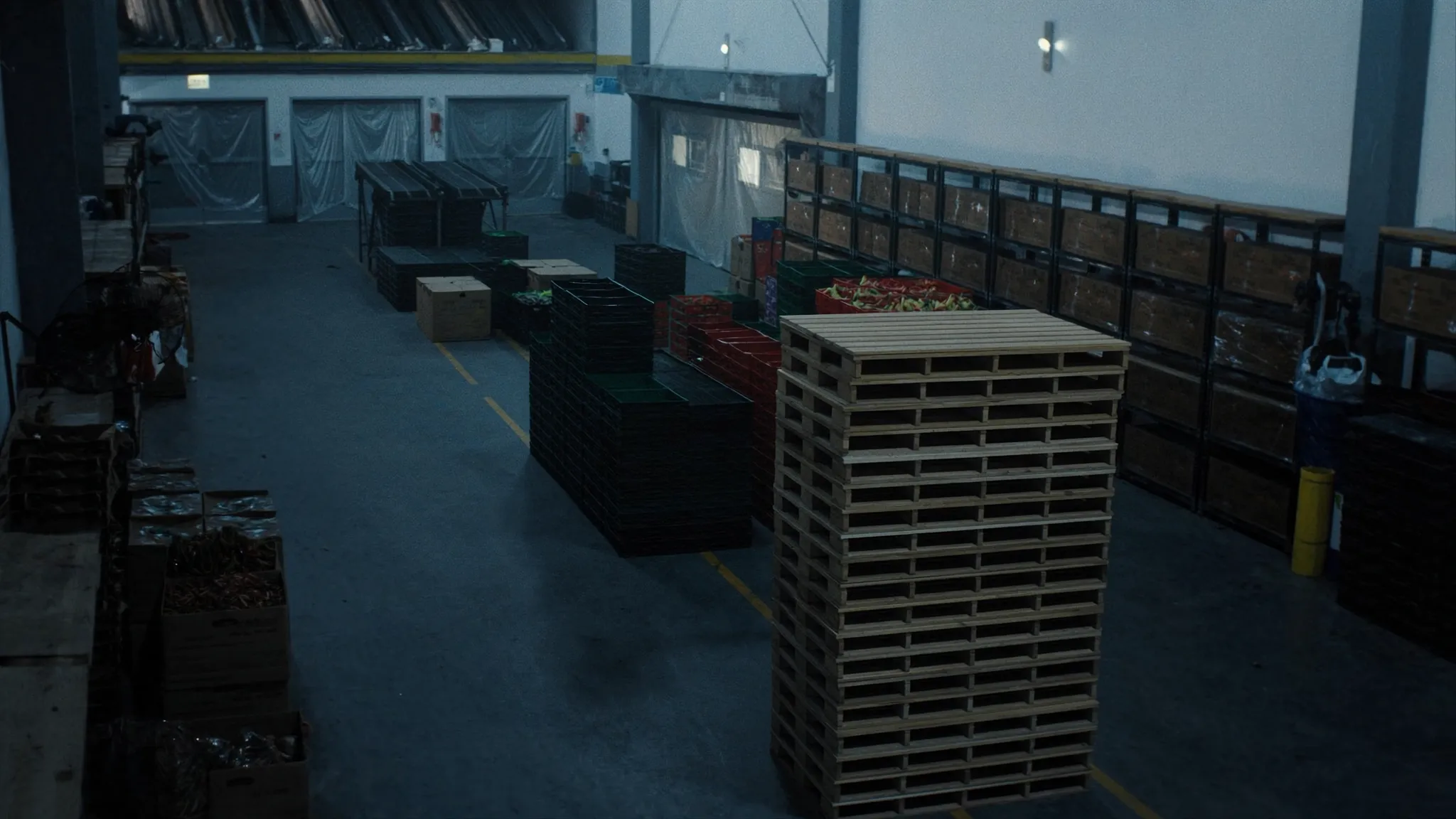 Cajas de producto agrícola fresco sobre tarimas de madera en empaque de exportación